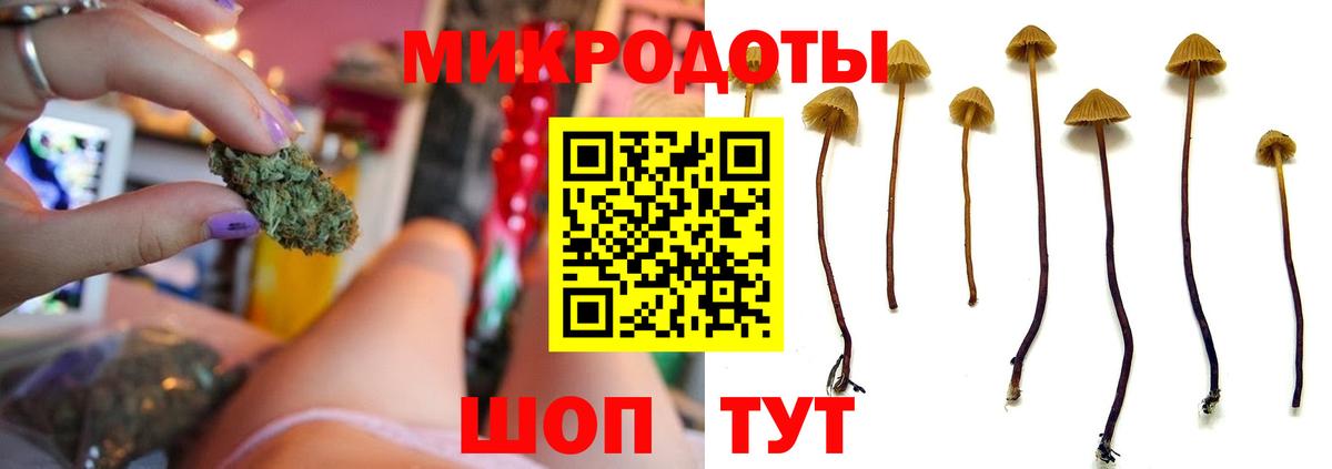 Галлюциногенные грибы мухоморы  Вход с VPN  Галлюциногенные грибы мицелий  Нефтекумск 